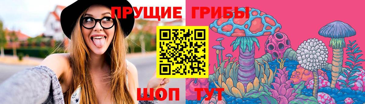 Псилоцибиновые грибы Psilocybe Всеволожск